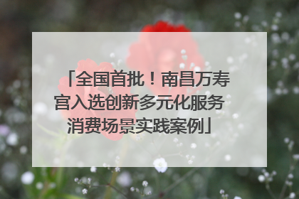 全国首批！南昌万寿宫入选创新多元化服务消费场景实践案例