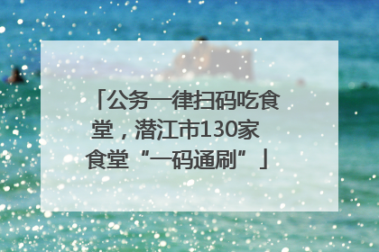 公务一律扫码吃食堂，潜江市130家食堂“一码通刷”