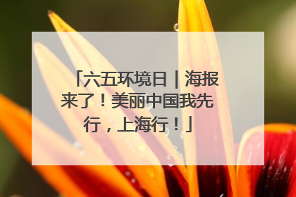 六五环境日｜海报来了！美丽中国我先行，上海行！