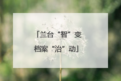 兰台“智”变 档案“治”动