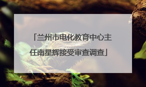 兰州市电化教育中心主任南星辉接受审查调查