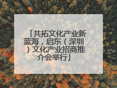 共拓文化产业新蓝海，启东（深圳）文化产业招商推介会举行