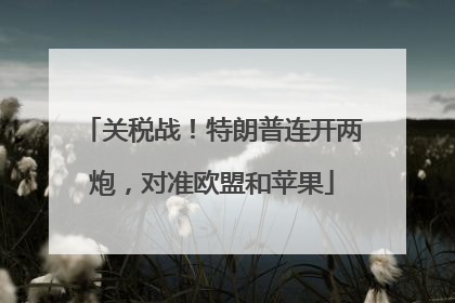 关税战！特朗普连开两炮，对准欧盟和苹果