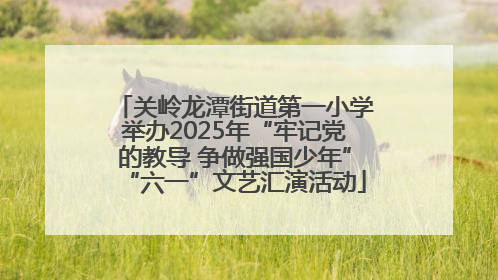 关岭龙潭街道第一小学举办2025年“牢记党的教导 争做强国少年”“六一”文艺汇演活动