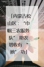 内蒙古松山区：“巾帼三农服务队” 助农增收有 “她” 功