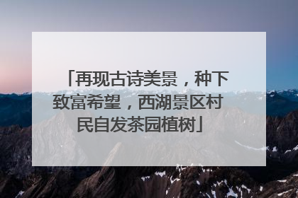 再现古诗美景，种下致富希望，西湖景区村民自发茶园植树