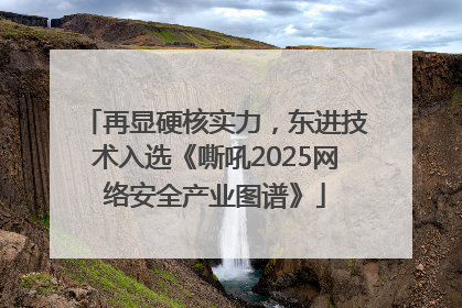 再显硬核实力，东进技术入选《嘶吼2025网络安全产业图谱》