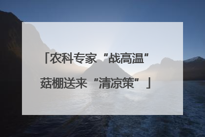 农科专家“战高温” 菇棚送来“清凉策”
