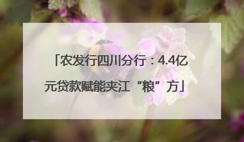 农发行四川分行：4.4亿元贷款赋能夹江“粮”方