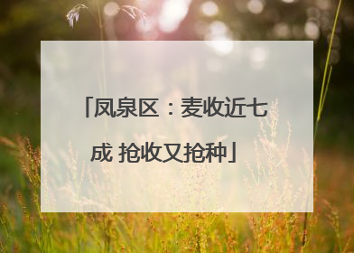 凤泉区：麦收近七成 抢收又抢种
