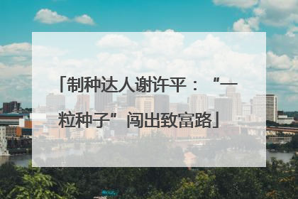 制种达人谢许平：“一粒种子”闯出致富路