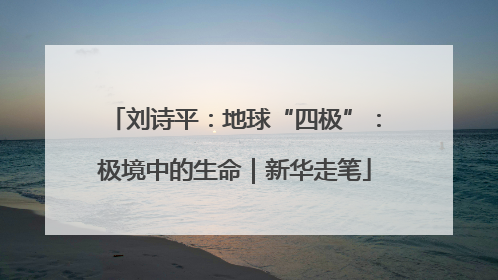 刘诗平：地球“四极”：极境中的生命｜新华走笔