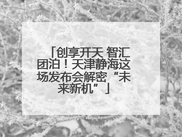 创享开天 智汇团泊！天津静海这场发布会解密“未来新机”