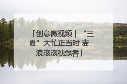 创意微视频｜“三夏”大忙正当时 麦浪滚滚穗飘香