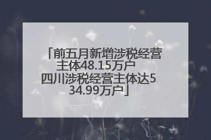 前五月新增涉税经营主体48.15万户 四川涉税经营主体达534.99万户