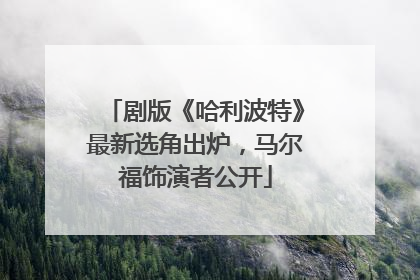 剧版《哈利波特》最新选角出炉，马尔福饰演者公开