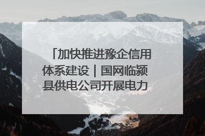 加快推进豫企信用体系建设｜国网临颍县供电公司开展电力行业信用企业现场咨询访谈工作