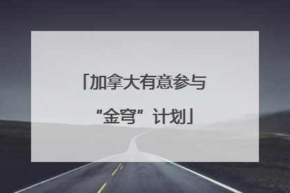 加拿大有意参与“金穹”计划