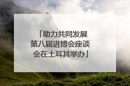 助力共同发展 第八届进博会座谈会在土耳其举办