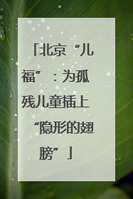 北京“儿福”：为孤残儿童插上“隐形的翅膀”