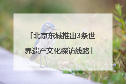 北京东城推出3条世界遗产文化探访线路
