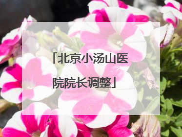 北京小汤山医院院长调整