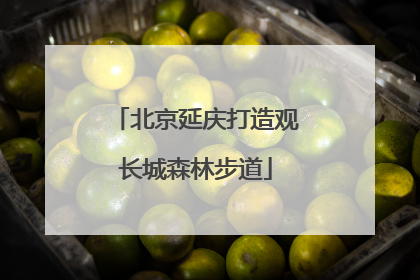 北京延庆打造观长城森林步道
