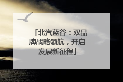 北汽蓝谷：双品牌战略领航，开启发展新征程