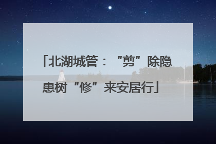 北湖城管：“剪”除隐患树“修”来安居行