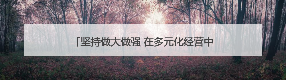 坚持做大做强 在多元化经营中逐步实现稳定盈利——石家庄交投集团做优做强典型报道之三