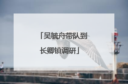 吴毓舟带队到长卿镇调研