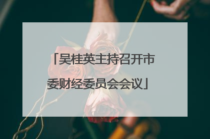 吴桂英主持召开市委财经委员会会议