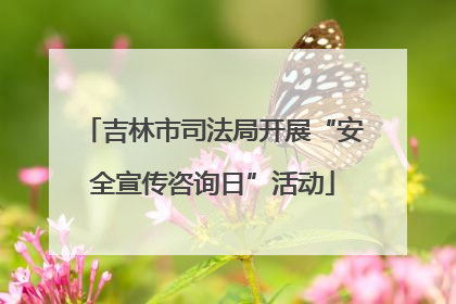 吉林市司法局开展“安全宣传咨询日”活动