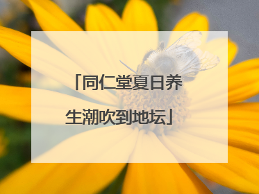 同仁堂夏日养生潮吹到地坛