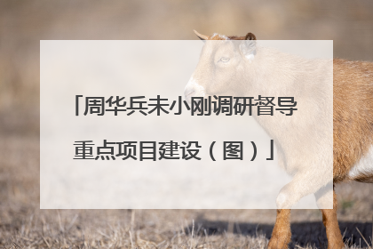 周华兵未小刚调研督导重点项目建设（图）