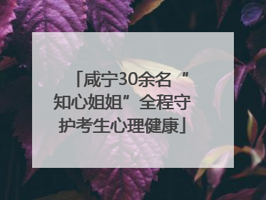 咸宁30余名“知心姐姐”全程守护考生心理健康