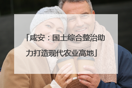 咸安：国土综合整治助力打造现代农业高地