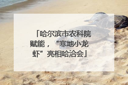 哈尔滨市农科院赋能，“寒地小龙虾”亮相哈洽会