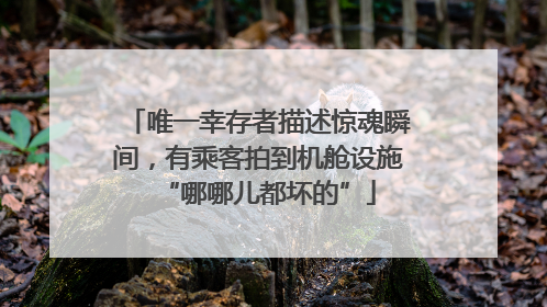 唯一幸存者描述惊魂瞬间，有乘客拍到机舱设施“哪哪儿都坏的”