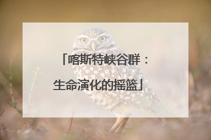 喀斯特峡谷群：生命演化的摇篮