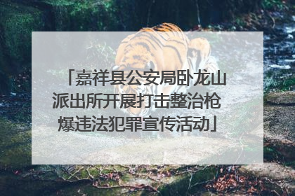 嘉祥县公安局卧龙山派出所开展打击整治枪爆违法犯罪宣传活动
