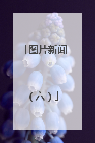 图片新闻（六）
