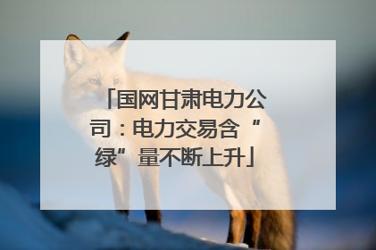 国网甘肃电力公司：电力交易含“绿”量不断上升
