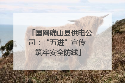 国网确山县供电公司：“五进”宣传 筑牢安全防线