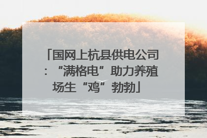 国网上杭县供电公司：“满格电”助力养殖场生“鸡”勃勃