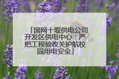 国网十堰供电公司开发区供电中心：严把工程验收关护航校园用电安全