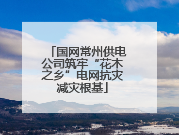 国网常州供电公司筑牢“花木之乡”电网抗灾减灾根基