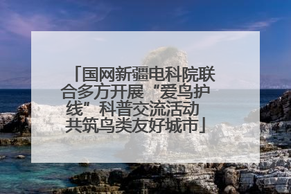 国网新疆电科院联合多方开展“爱鸟护线”科普交流活动 共筑鸟类友好城市