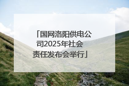 国网洛阳供电公司2025年社会责任发布会举行