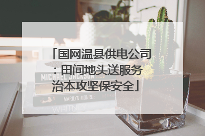 国网温县供电公司：田间地头送服务 治本攻坚保安全